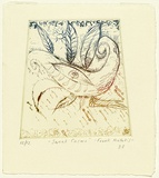Artist: Hiotakis, Frank. | Title: Sweet Cosmo | Date: 1988 | Technique: drypoint, printed in colour, from one plate | Copyright: © Frank Hiotakis, Australia
