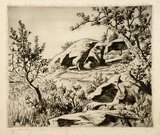 Artist: LINDSAY, Lionel | Title: Sandstone and banksia | Date: 1937 | Technique: drypoint, printed in brown ink with plate-tone, from one plate | Copyright: Courtesy of the National Library of Australia