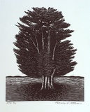 Artist: Atkins, Ros. | Title: not titled [tree] | Date: 2001, February | Technique: linoblock, printed in black ink, from one block