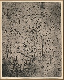 Title: Forest of gum trees | Date: 1965-66 | Technique: etching, printed in black ink, from one plate