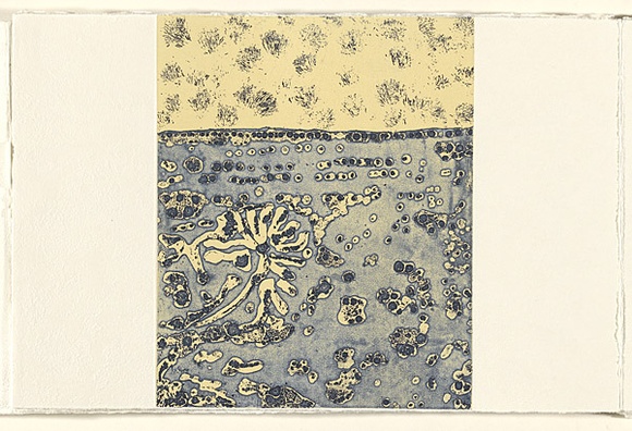 Title: Birth trees | Date: 2007 | Technique: etching, open-bite, aquatint and relief, printed in colour, from one plate and one block