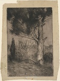 Artist: McCubbin, Louis. | Title: Untitled (tree) | Date: 1915 | Technique: etching, printed in black ink, from one plate