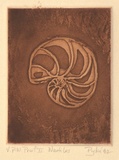 Artist: Pyke, Guelda | Title: Nautilus | Date: 1982 | Technique: etching and aquatint, printed in sepia ink, from one plate