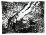 Artist: BOYD, Arthur | Title: Diving nude and frog over a dark pond. | Date: 1962-63 | Technique: etching and aquatint, printed in black ink, from one plate | Copyright: Reproduced with permission of Bundanon Trust