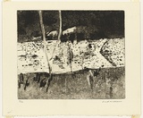 Artist: WILLIAMS, Fred | Title: Yarra billabong, Kew. Number 1 | Date: 1975 | Technique: electric hand engraving tool, aquatint roulette, engraving, drypoint, biting, printed in black ink, from one copper plate | Copyright: © Fred Williams Estate