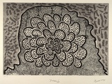 Artist: NGARRAIJA, Tommy May | Title: Yungkuja | Date: 1995, November | Technique: etching and lift-ground aquatint, printed in black ink, from one plate