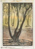Artist: Read, Helen. | Title: Evening sunlight | Date: 1930s | Technique: linocut, printed in colour, from multiple blocks