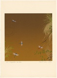Artist: ROSE, David | Title: Dragonflies over dam | Date: 1979 | Technique: screenprint, printed in colour, from multiple stencils