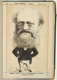 Title: Commissioner of customs [The Hon. Edward Cohen M.L.A.]. | Date: 18 July 1874 | Technique: lithograph, printed in colour, from multiple stones