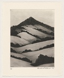 Artist: Atkins, Ros. | Title: Still | Date: 1999 | Technique: etching and engraving, printed in black ink with plate-tone, from one plate