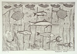 Artist: Laurel, Madeleine Yangkana. | Title: Kuyi martuwarra-karraji | Date: 2001, August - September | Technique: etching, printed in black ink, from one plate