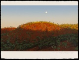 Artist: ROSE, David | Title: Morning moon, Leichhardt Hills | Date: 1997 | Technique: screenprint, printed in colour, from multiple screens