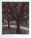 Artist: Atkins, Ros. | Title: not titled [two trees] | Date: 2001, February | Technique: linocut, printed in black ink, from one block