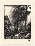 Title: Bush | Date: c.1950 | Technique: linocut, printed in colour, from two blocks