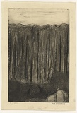 Artist: WILLIAMS, Fred | Title: Saplings, Mittagong | Date: 1958-61 | Technique: aquatint, engraving and drypoint, printed in black ink, from one copper plate | Copyright: © Fred Williams Estate