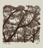 Artist: Atkins, Ros. | Title: (IA) | Date: 1996, July | Technique: wood engraving, printed in black ink, from one block