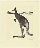 Artist: Law, Roger. | Title: (Kangaroo alert) | Date: 2002 | Technique: etching and aquatint, printed in sepia ink, from one plate