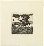 Title: God's walk | Date: 1964 | Technique: etching and aquatint, printed in black ink with plate-tone, from one plate