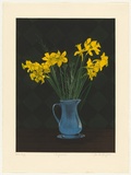 Artist: GRIFFITH, Pamela | Title: Daffodils. | Date: 1986 | Technique: hardground-etching and aquatint, printed in colour, from three zinc plates | Copyright: © Pamela Griffith