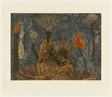 Title: Cycads - Ngathu | Date: 2010 | Technique: etching, printed in colour, from six plates