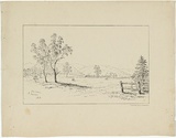 Title: Glen Osborn South Australia | Date: c.1853 | Technique: lithograph, printed in black ink, from one stone