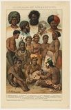 Title: Australische Völkertypen | Date: c.1901- 1904 | Technique: lithograph, printed in colour, from multiple stones [or plates]