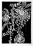 Artist: Grey-Smith, Guy | Title: Karri forest foliage | Date: 1975 | Technique: linocut, printed in black ink, from one block