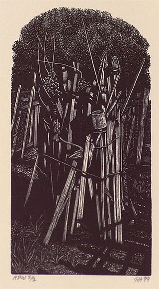 Artist: Atkins, Ros. | Title: Fitzroy Community Garden | Date: 1999, January | Technique: wood engraving, printed in black ink, from one block