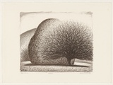 Artist: Russell,, Deborah. | Title: Roadside | Date: 1988 | Technique: lithograph, printed in black ink, from one stone