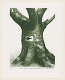Artist: Russell,, Deborah. | Title: Great moments in Arboreal history II | Date: 1999 | Technique: lithograph, printed in green ink, from one plate