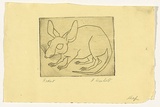 Artist: Wienholt, Anne. | Title: Rodent | Date: (1948) | Technique: line-engraving, printed in black ink with plate-tone, from one copper plate