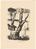 Title: Augusta | Date: 1982 | Technique: lithograph, printed in black ink, from one stone