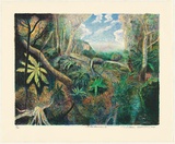 Artist: Robinson, William. | Title: Tallanbanna II | Date: 2000 | Technique: lithograph, printed in black ink, from one plate