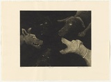 Artist: Williams, Deborah. | Title: Dogfight | Date: 1993 | Technique: etching and aquatint, printed in black ink with plate-tone, from one plate