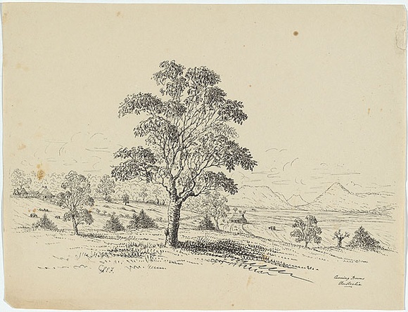 Title: Canning Downs | Date: c.1853 | Technique: lithograph, printed in black ink, from one stone