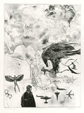 Artist: GRIFFITH, Pamela | Title: Ode to flight | Date: 1980 | Technique: etching, soft ground, hard ground, rocker, aquatint, second hard ground sandpaper lift, spray & spatter resist printed in black ink, from one zinc plate | Copyright: © Pamela Griffith