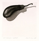 Artist: ROSE, David | Title: Aubergine aquatint | Date: 1976 | Technique: aquatint and etching, printed in black ink, from one plate