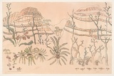 Title: Cycads and bungle bungles | Date: 2000 | Technique: lithograph, printed in colour, from multiple zinc carbide plates; additional hand colouring