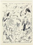 Artist: Giles (Kurwingie), Kerry. | Title: Blue bonnet parrot | Date: 1992 | Technique: screenprint, printed in black ink, from one stencil