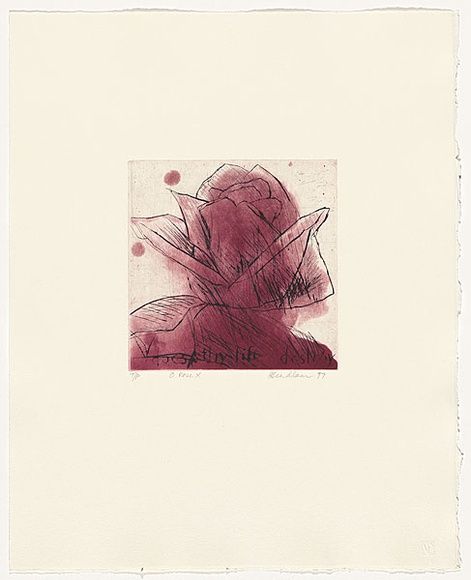 Artist: Headlam, Kristin. | Title: Oh Rose X | Date: 1997 | Technique: aquatint and drypoint, printed in colour, from two copper plates