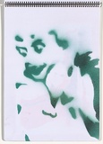 Title: Chickenpox | Date: 2003-2004 | Technique: stencil, printed with colour aerosol paint, from one stencil