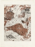 Artist: GRIFFITH, Pamela | Title: Neptune's triton | Date: 1981 | Technique: etching, aquatint, spray resist, marbelling and burnishing printed in colour from two zinc plates | Copyright: © Pamela Griffith