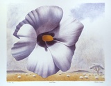 Artist: Russell,, Deborah. | Title: Desert rose | Date: 1999, September | Technique: lithograph, printed in colour, from multiple stones
