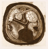 Artist: LAWTON, Tina | Title: not titled [inside] | Date: c.1964 | Technique: linocut, printed in black ink, from one block