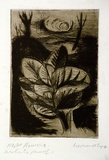 Artist: Barwell, Geoff. | Title: Night flowers. | Date: 1954 | Technique: drypoint and etching, printed in dark brown ink with plate-tone, from one plate