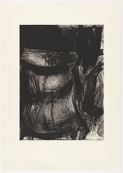 Artist: Tomescu, Aida. | Title: Panspermie I | Date: 1990 | Technique: etching, printed in black ink, from one copper plate | Copyright: © Aida Tomescu. Licensed by VISCOPY, Australia.