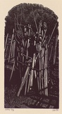 Artist: Atkins, Ros. | Title: Fitzroy Community Garden | Date: 1999, January | Technique: wood engraving, printed in black ink, from one block