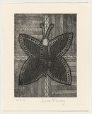 Artist: Murray, Janice. | Title: not titled [butterfly rendered in geometric patterns and cross-hatching] | Date: 1999, November | Technique: etching, printed in black ink, from one plate | Copyright: © Janice Murray and Jilamara Arts + Craft