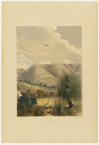 Artist: Angas, George French. | Title: Yattagolinga. | Date: 1846-47 | Technique: lithograph, printed in colour, from multiple stones; varnish highlights by brush