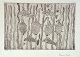 Artist: Laurel, Doris Jayirtna. | Title: Food from the river, barramundi and turtle | Date: 2001, August - September | Technique: etching, printed in black ink, from one plate